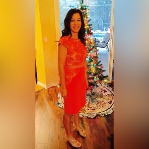 Elegant Lace Antoni Melani Dress